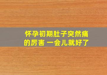 怀孕初期肚子突然痛的厉害 一会儿就好了